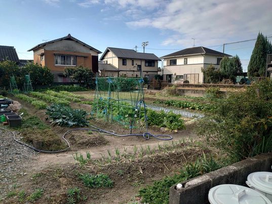 405319685_369063942238943_1048783385545735277_n